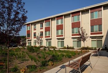 Community garden and courtyard