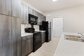 Birmingham apartment for rent - a kitchen with black appliances and a sink and a refrigerator