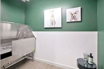 Citizen-birmingham-pet-spa