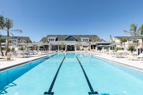 Orlando apartment for rent - a large swimming pool, sundeck with chairs and palms, and Concorde clubhouse
