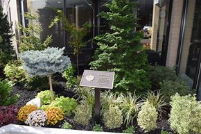 Flushing apartment for rent - B'nai B'rith of Flushing Queens, NY beautiful garden