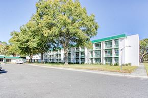 Jacksonville apartment for rent - Mature trees and sidewalks in front of Morris Manor Senior Apartments
