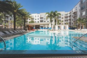 Orlando apartment for rent - Stunning pool at at LandonHouse Apartments in Lake Nona, Orlando, FL 32827
