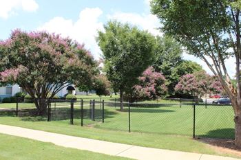 Bark park 