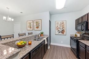 Huntsville apartment for rent - A kitchen with granite countertops and a bowl of fruit on it.