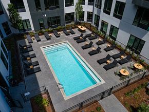 Jersey City apartment for rent - an aerial view of a swimming pool with lounge chairs and umbrellas in front of a