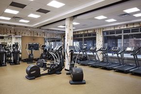 Harrison apartment for rent - A gym with treadmills, elliptical machines, and weights.