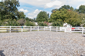 Dog park