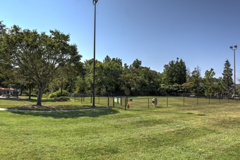 A park with a grassy field, trees, and a fence.