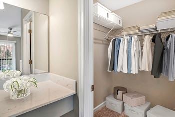 Oversized closets with built-in shelving