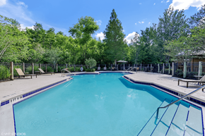 Orlando apartment for rent - Swimming pool with lounge seating surrounded by native landscaping