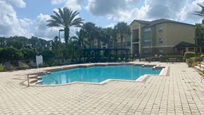 Windemere apartment for rent - Swimming pool with lounge seating surrounded by palm trees