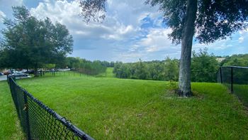 Dog park