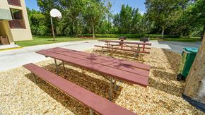 Key West apartment for rent - Picnic Tables on Mulch with Basketball Hoop in the Background