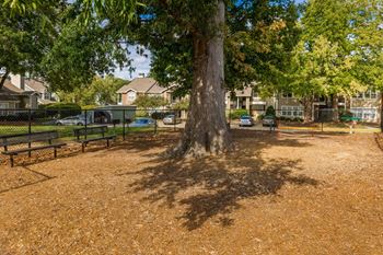 Dog park