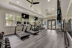 Kyle apartment for rent - A spacious gym with treadmills, elliptical machines, and a television.