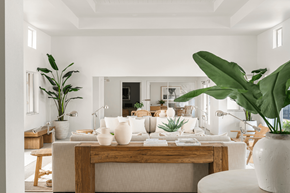 Coconut Creek apartment for rent - a living room filled with furniture and a large green plant