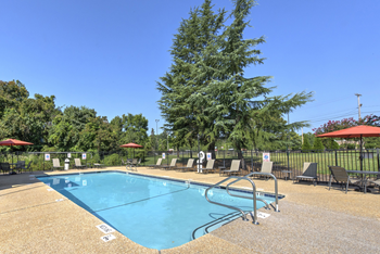 A large swimming pool surrounded by trees and lounge chairs.