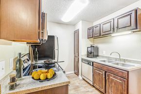 Euless apartment for rent - Kitchen with Stainless Steel Appliances with wood cabinets