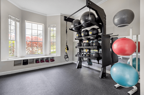 Boynton Beach apartment for rent - A gym room with a rack of weights and exercise balls.