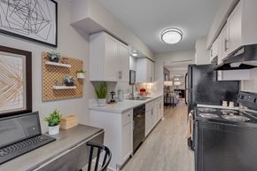 Raleigh apartment for rent - A modern kitchen with a laptop on the counter.