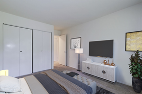 Waldorf apartment for rent - staged bedroom with carpeted flooring and closet with sliding doors