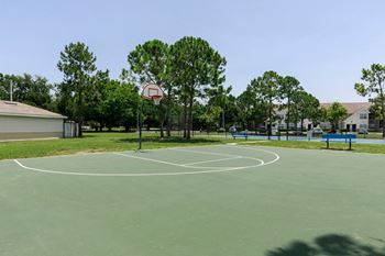 Basketball court