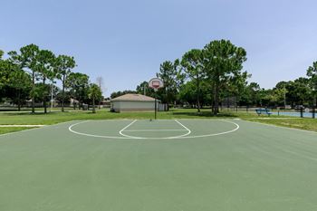 Basketball court