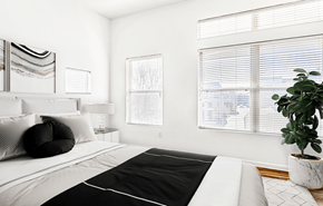 Denver apartment for rent - A black and white bedroom with a large bed and a potted plant.