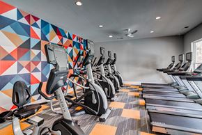 Charlotte apartment for rent - a row of cardio exercise machines in a gym