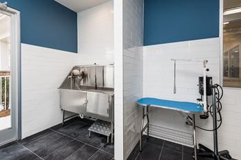 Pet spa and grooming center