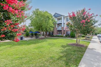 Spacious courtyard