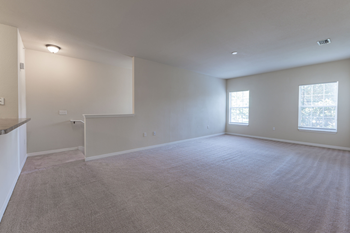 Plush carpeting
