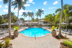 Coconut Creek apartment for rent - a large swimming pool surrounded by palm trees