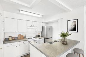 Orlando apartment for rent - Kitchen with white cabinets facing breakfast bar with decor on countertops