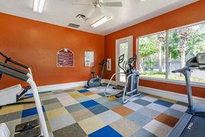 Orlando apartment for rent - Fitness center with cardio equipment and large windows for natural lighting