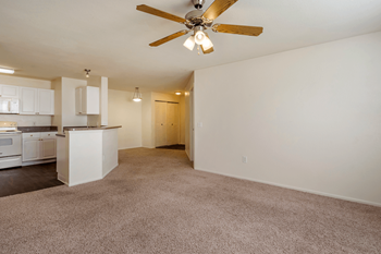 Ceiling fans