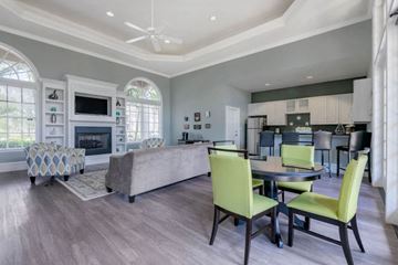 Fort Myers apartment for rent - A modern living room with a grey couch and green chairs.