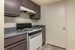 Jacksonville apartment for rent - Kitchen with hardwood style flooring, white appliances, and dark espresso cabinetry