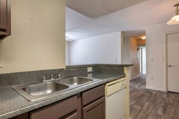 Double basin kitchen sink