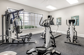 Sanford apartment for rent - Fitness center with strength and conditioning equipment and large windows for natural lighting