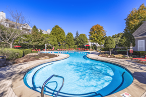 Charlotte apartment for rent - take a dip in the resort style pool at Elan at Mallard Creek Apartment Homes, Charlotte, NC, 28269