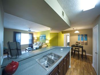 Double stainless steel sink