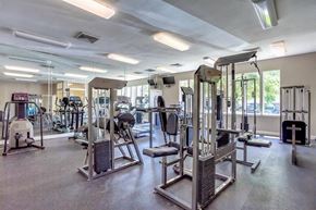 Jacksonville apartment for rent - Fitness Center Weight Training Equipment