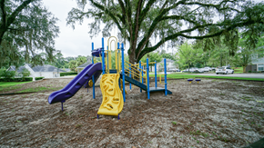 Tallahassee apartment for rent - a playground with a yellow slide and a blue slide