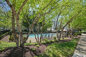 Woodbridge apartment for rent - A pool surrounded by trees and a fence.