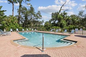 North Port apartment for rent - A pool surrounded by trees and chairs.