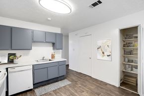 Jacksonville apartment for rent - a kitchen with gray cabinets and a white dishwasher