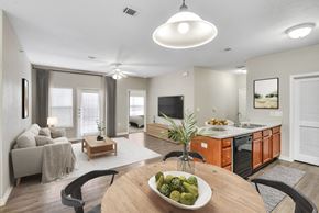 Austin apartment for rent - a fully furnished living area