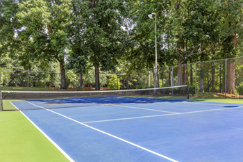A blue tennis court surrounded by trees.